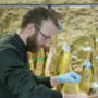 Daniel Setenil de las Bodegas